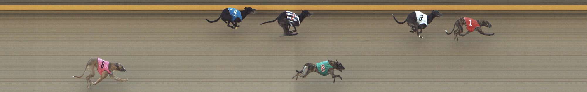 Photo finish for Shepparton Race 8