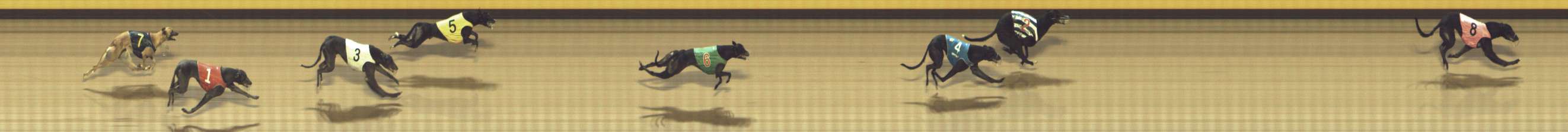 Photo finish for Shepparton Race 11