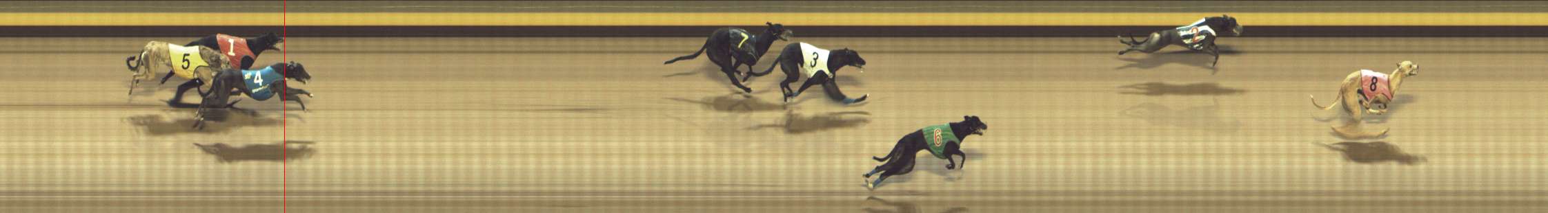 Photo finish for Shepparton Race 12