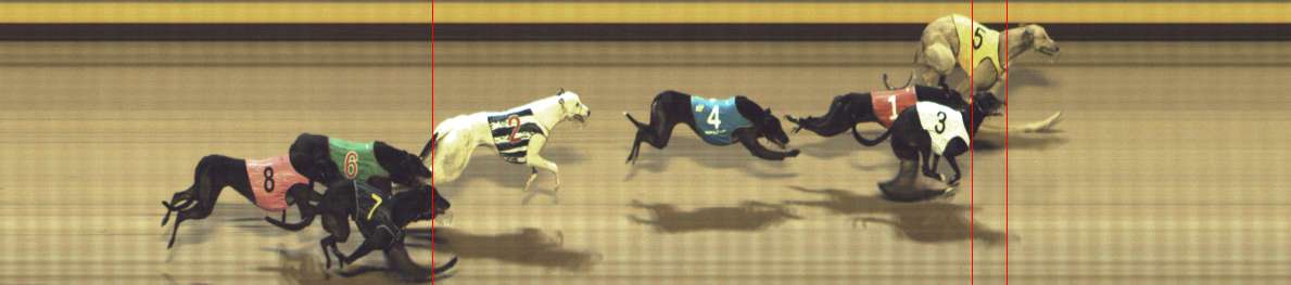 Photo finish for Shepparton Race 13