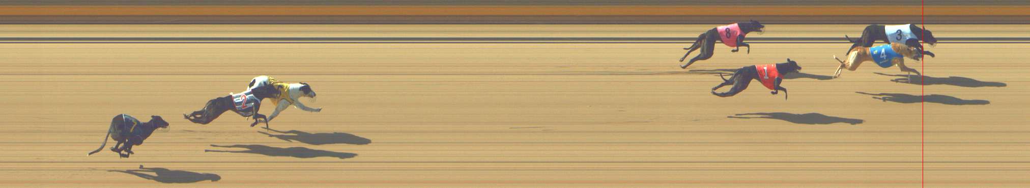 Photo finish for Shepparton Race 1