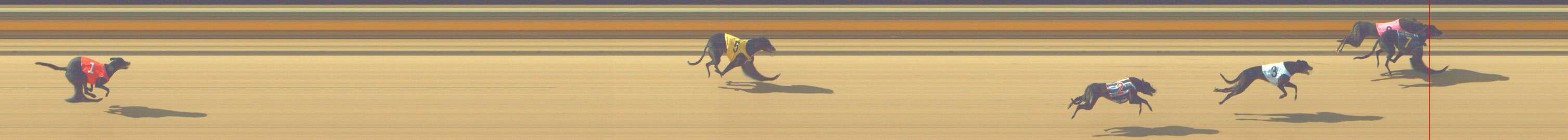 Photo finish for Shepparton Race 2