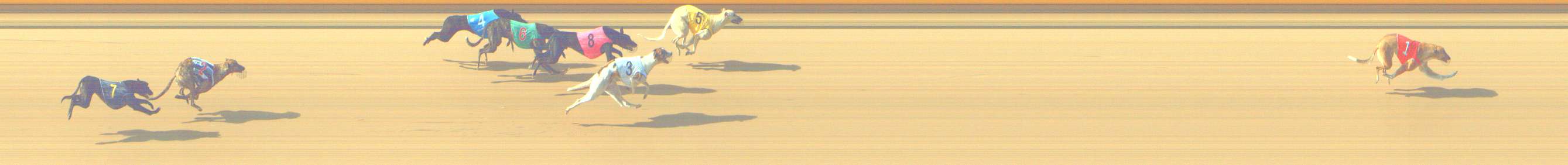 Photo finish for Shepparton Race 3