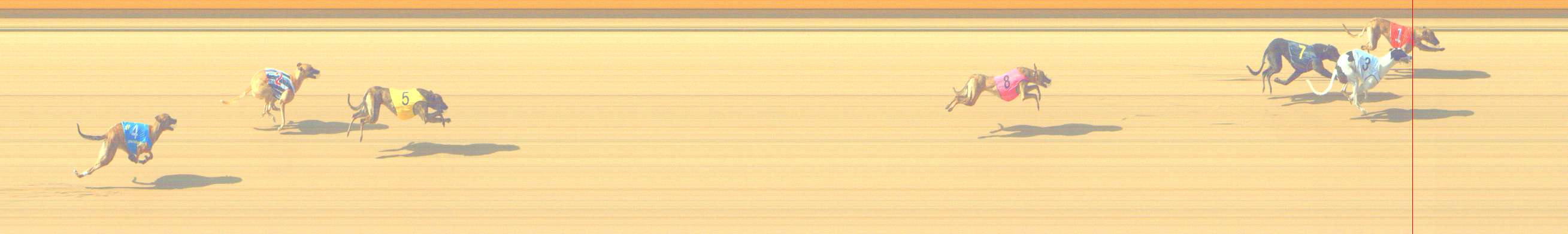 Photo finish for Shepparton Race 4