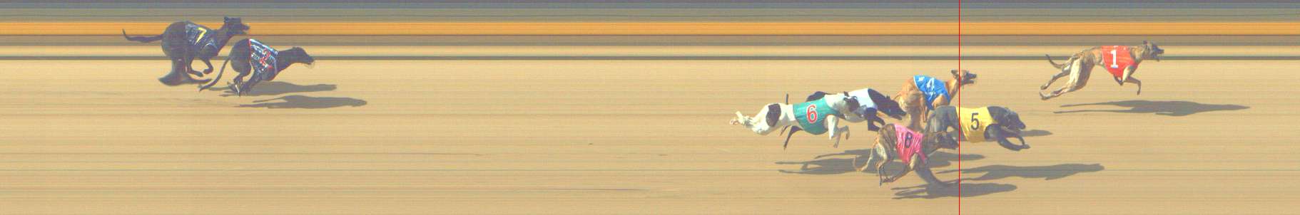 Photo finish for Shepparton Race 5