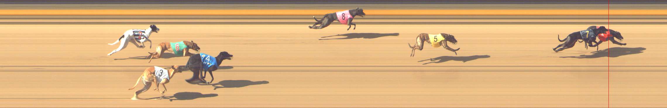Photo finish for Shepparton Race 6
