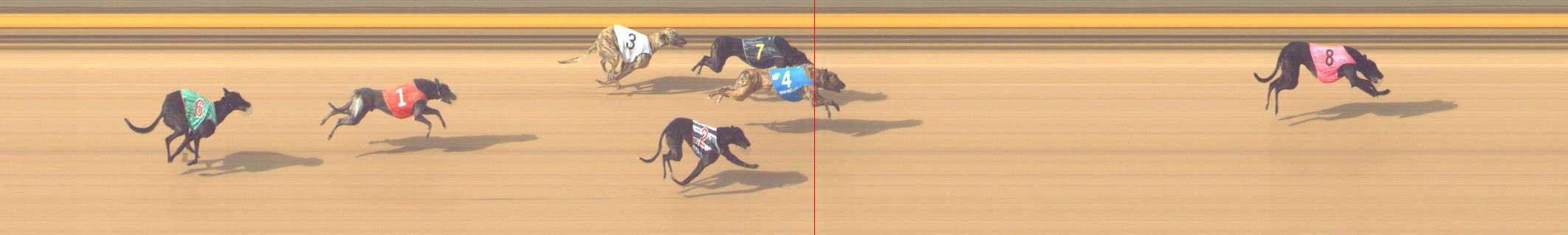 Photo finish for Shepparton Race 7