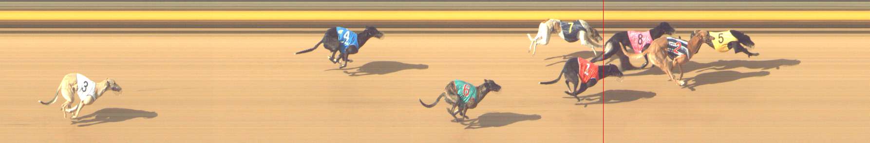 Photo finish for Shepparton Race 8