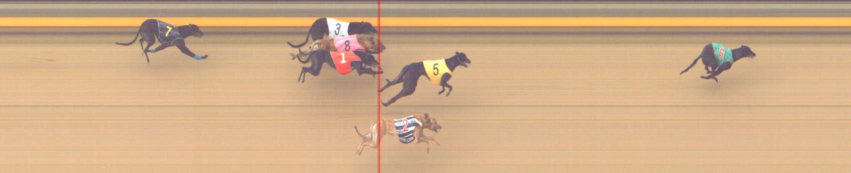 Photo finish for Shepparton Race 9