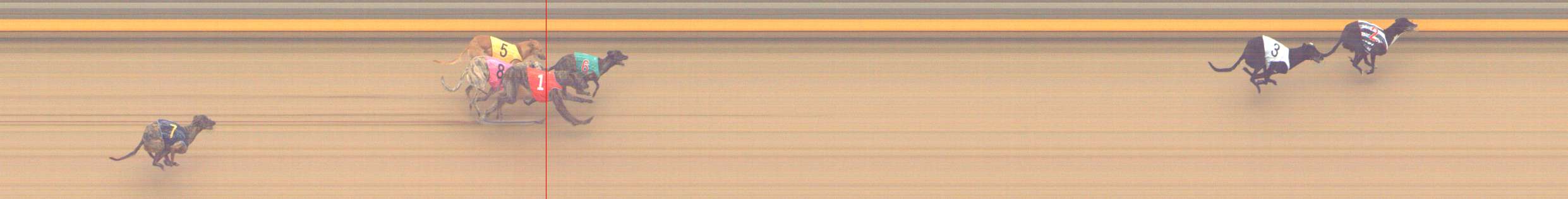 Photo finish for Shepparton Race 10