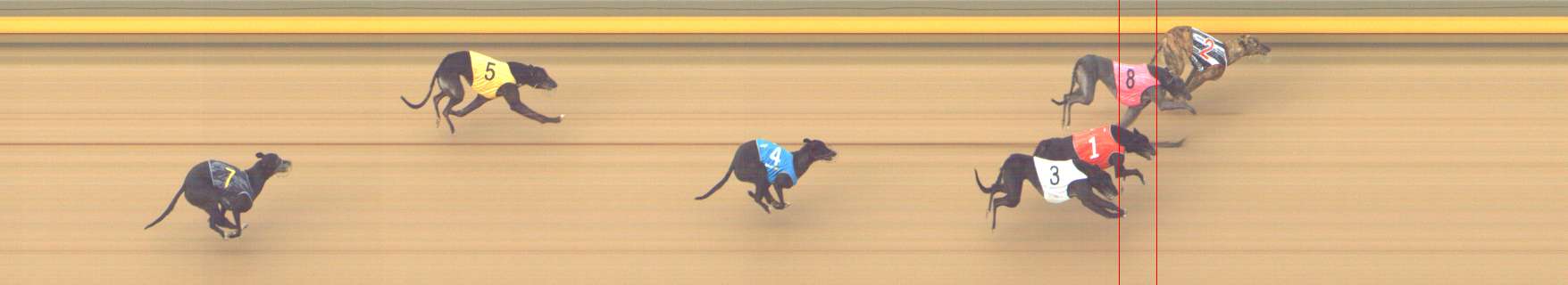 Photo finish for Shepparton Race 11