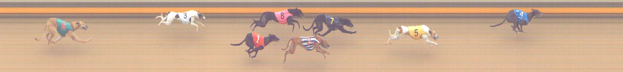 Photo finish for Shepparton Race 12
