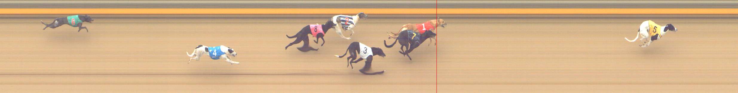 Photo finish for Shepparton Race 13