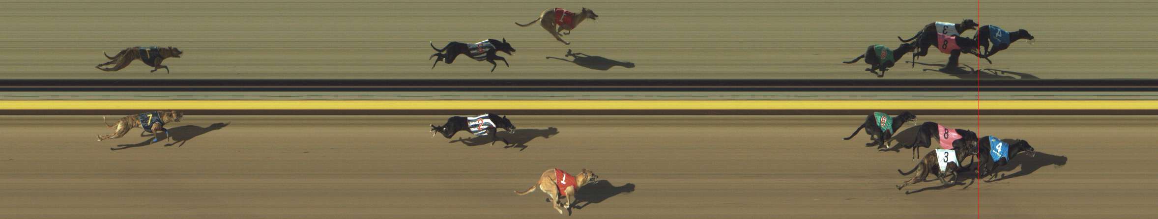 Photo finish for Shepparton Race 1