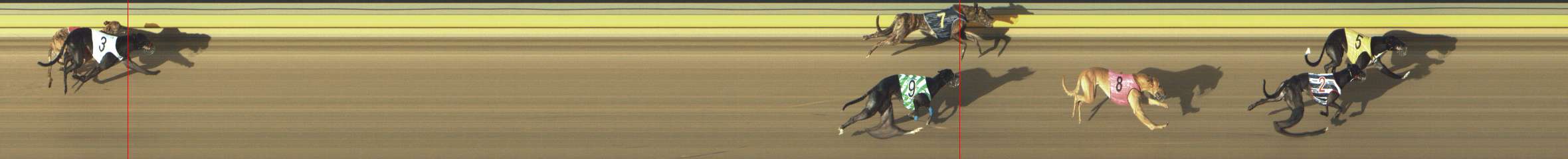 Photo finish for Shepparton Race 3