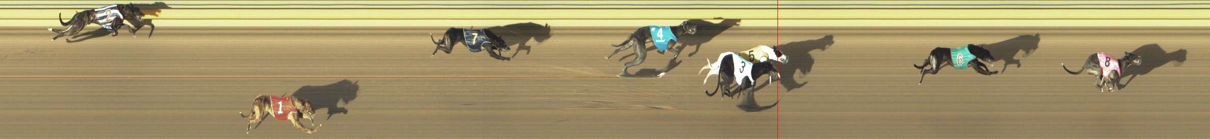 Photo finish for Shepparton Race 4