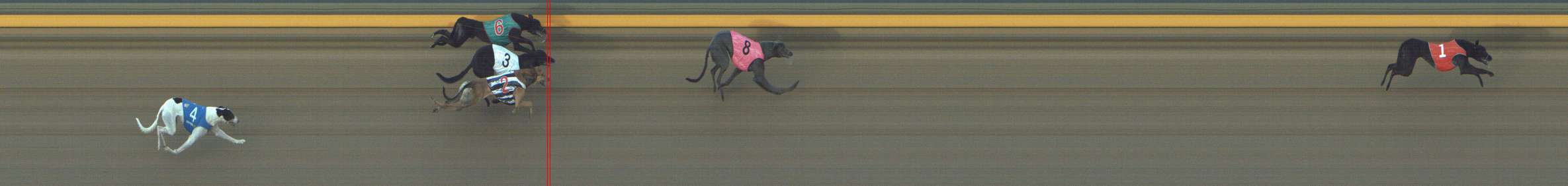 Photo finish for Shepparton Race 5