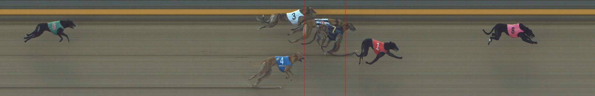 Photo finish for Shepparton Race 6