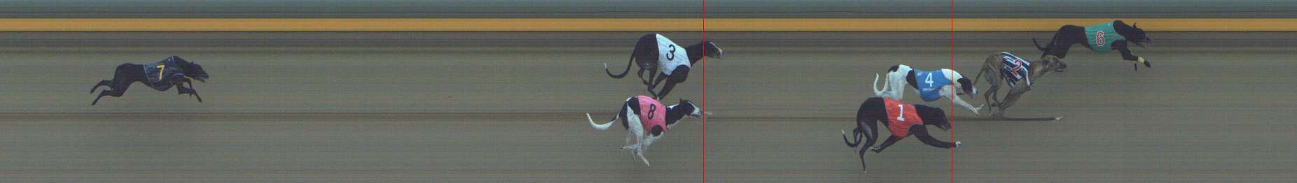 Photo finish for Shepparton Race 7