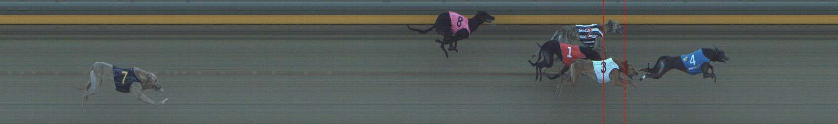 Photo finish for Shepparton Race 8