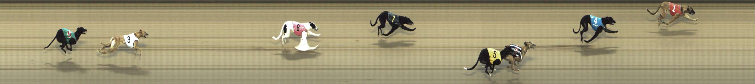 Photo finish for Shepparton Race 10