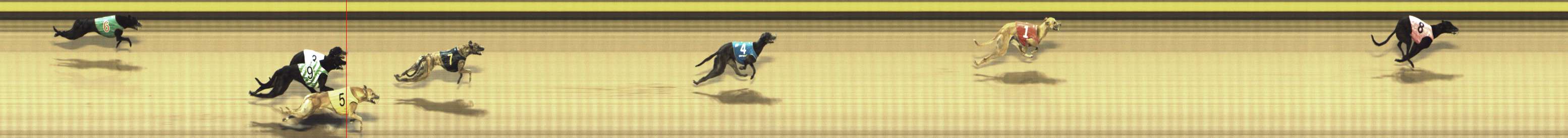 Photo finish for Shepparton Race 11