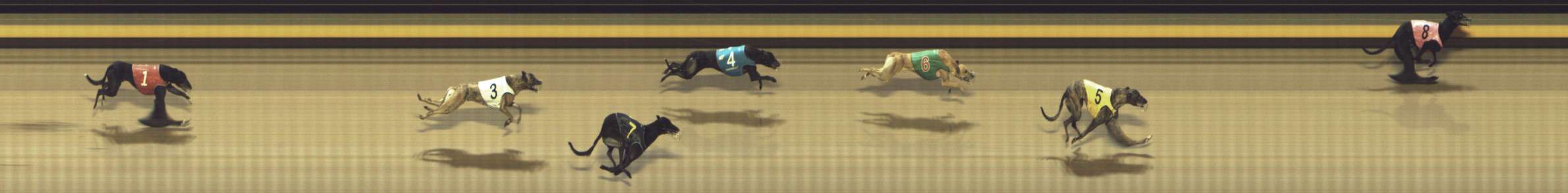 Photo finish for Shepparton Race 12