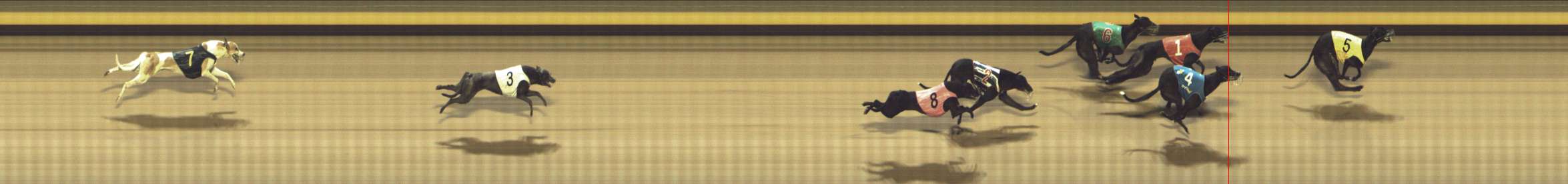 Photo finish for Shepparton Race 13