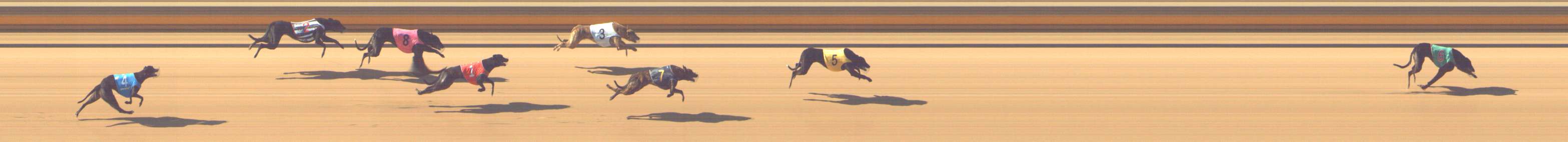 Photo finish for Shepparton Race 1
