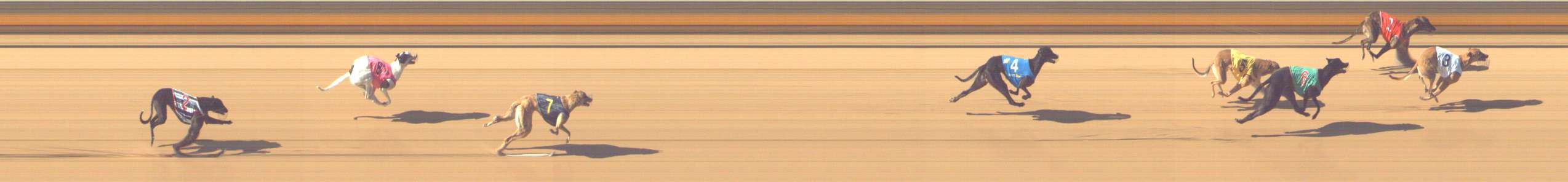 Photo finish for Shepparton Race 3