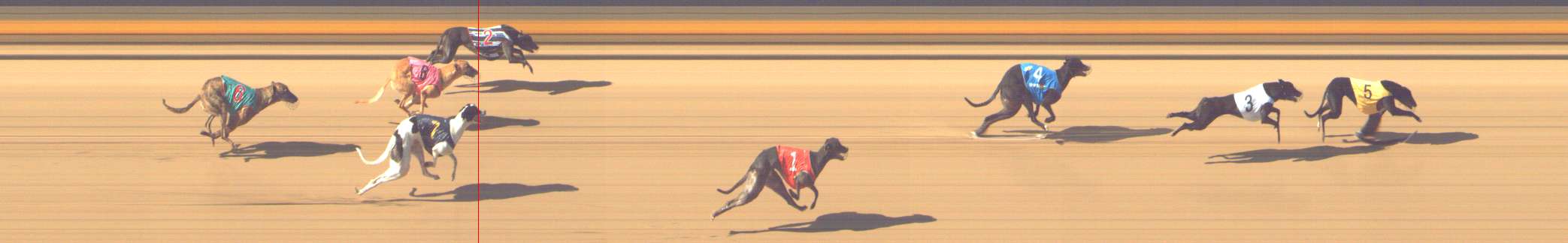 Photo finish for Shepparton Race 4