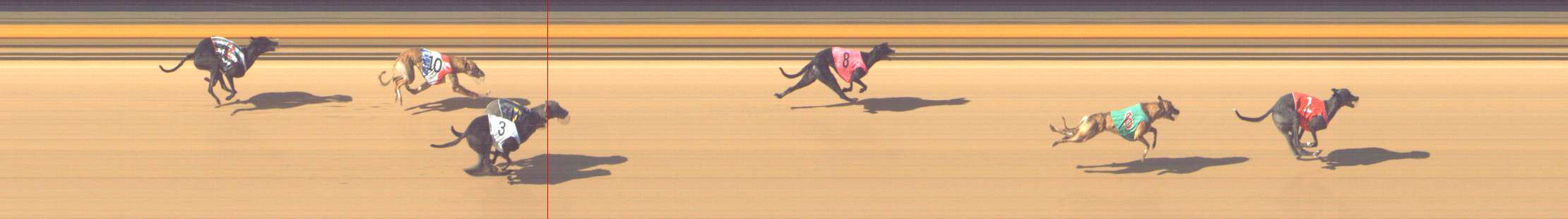 Photo finish for Shepparton Race 5