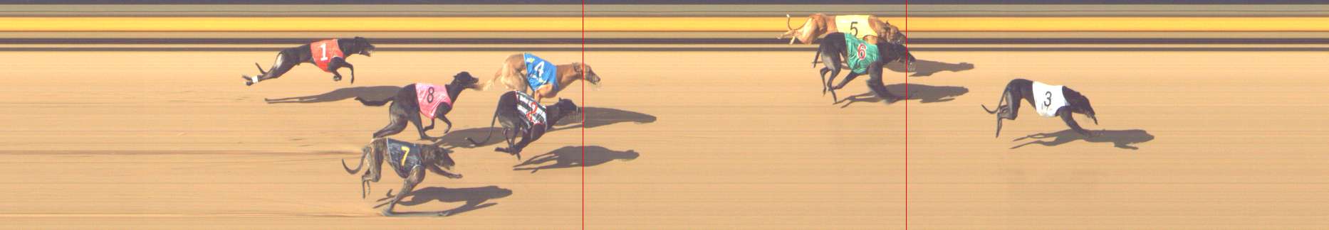 Photo finish for Shepparton Race 6