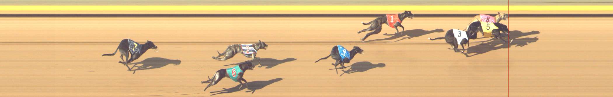 Photo finish for Shepparton Race 8