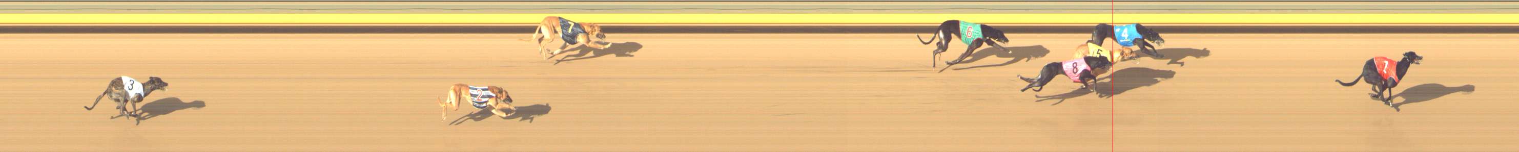 Photo finish for Shepparton Race 9