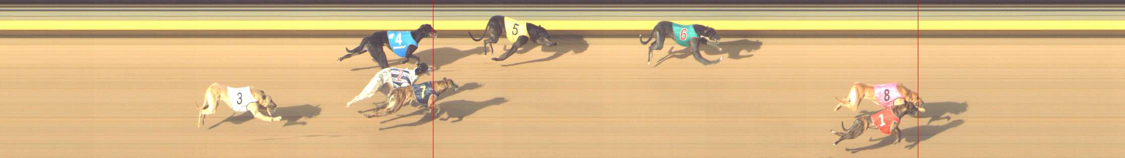 Photo finish for Shepparton Race 10