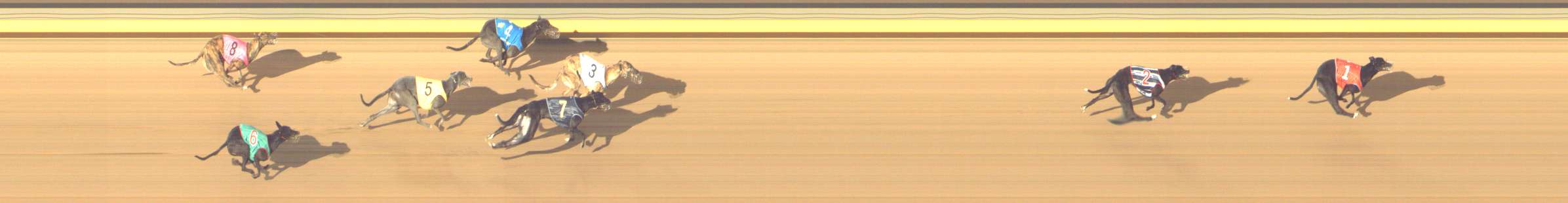 Photo finish for Shepparton Race 11