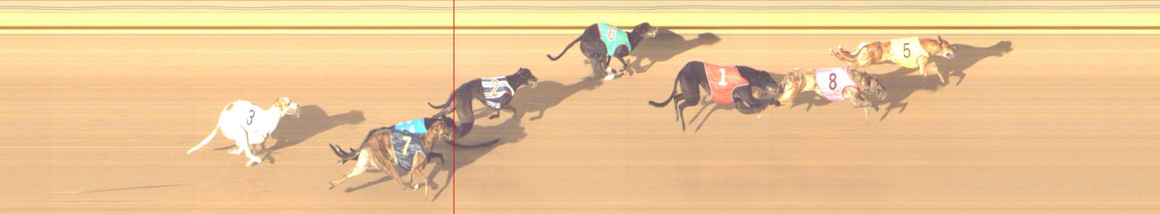 Photo finish for Shepparton Race 12
