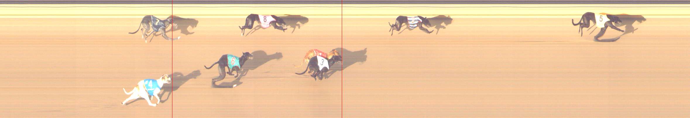 Photo finish for Shepparton Race 13