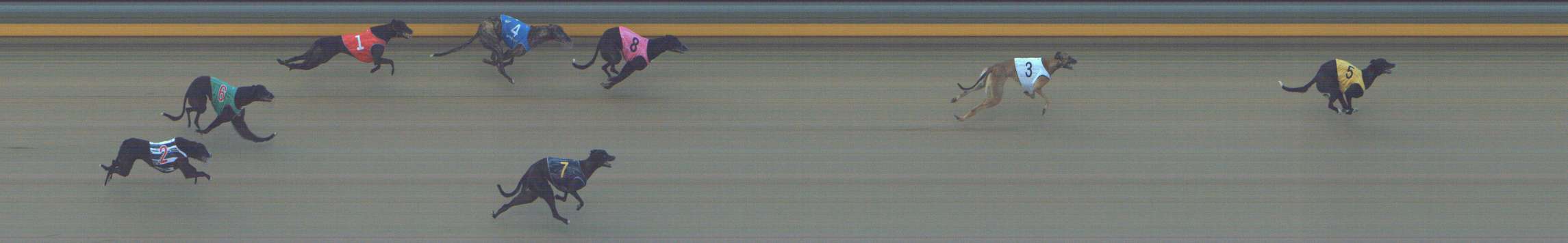 Photo finish for Shepparton Race 1