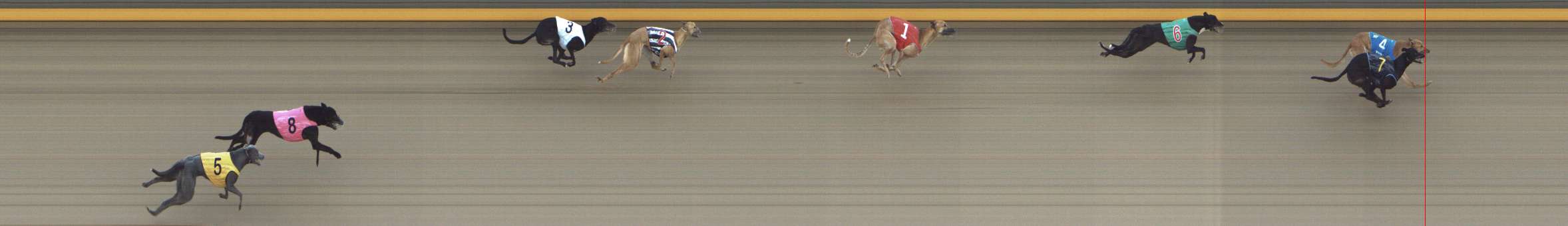 Photo finish for Shepparton Race 3