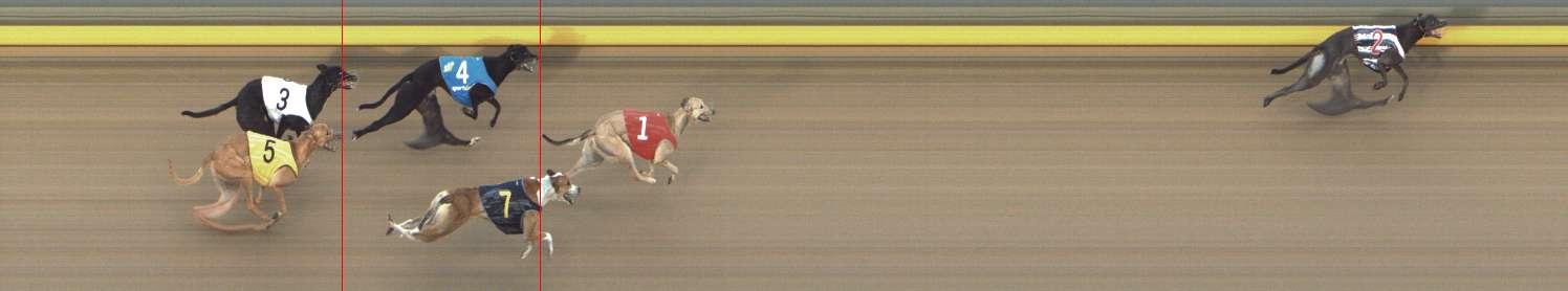 Photo finish for Shepparton Race 4