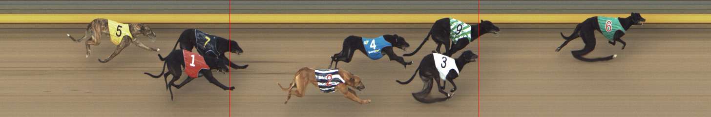 Photo finish for Shepparton Race 5