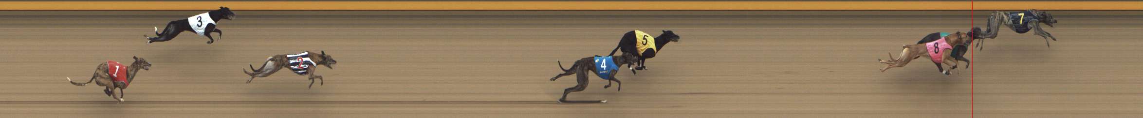 Photo finish for Shepparton Race 6