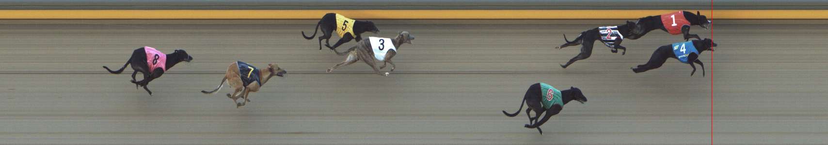 Photo finish for Shepparton Race 7