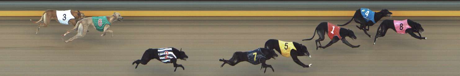 Photo finish for Shepparton Race 8