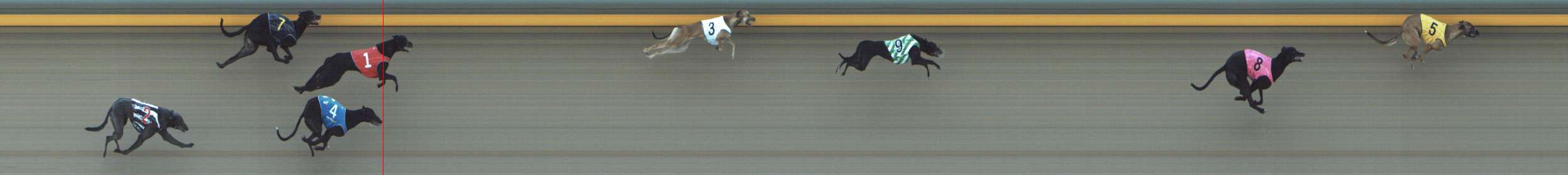 Photo finish for Shepparton Race 9