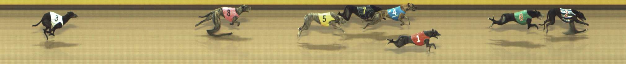 Photo finish for Shepparton Race 10
