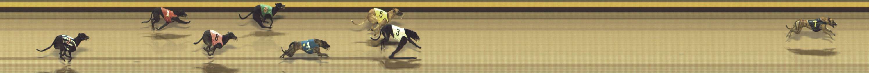Photo finish for Shepparton Race 12