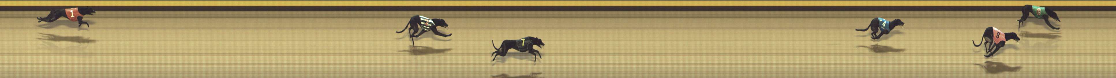 Photo finish for Shepparton Race 13